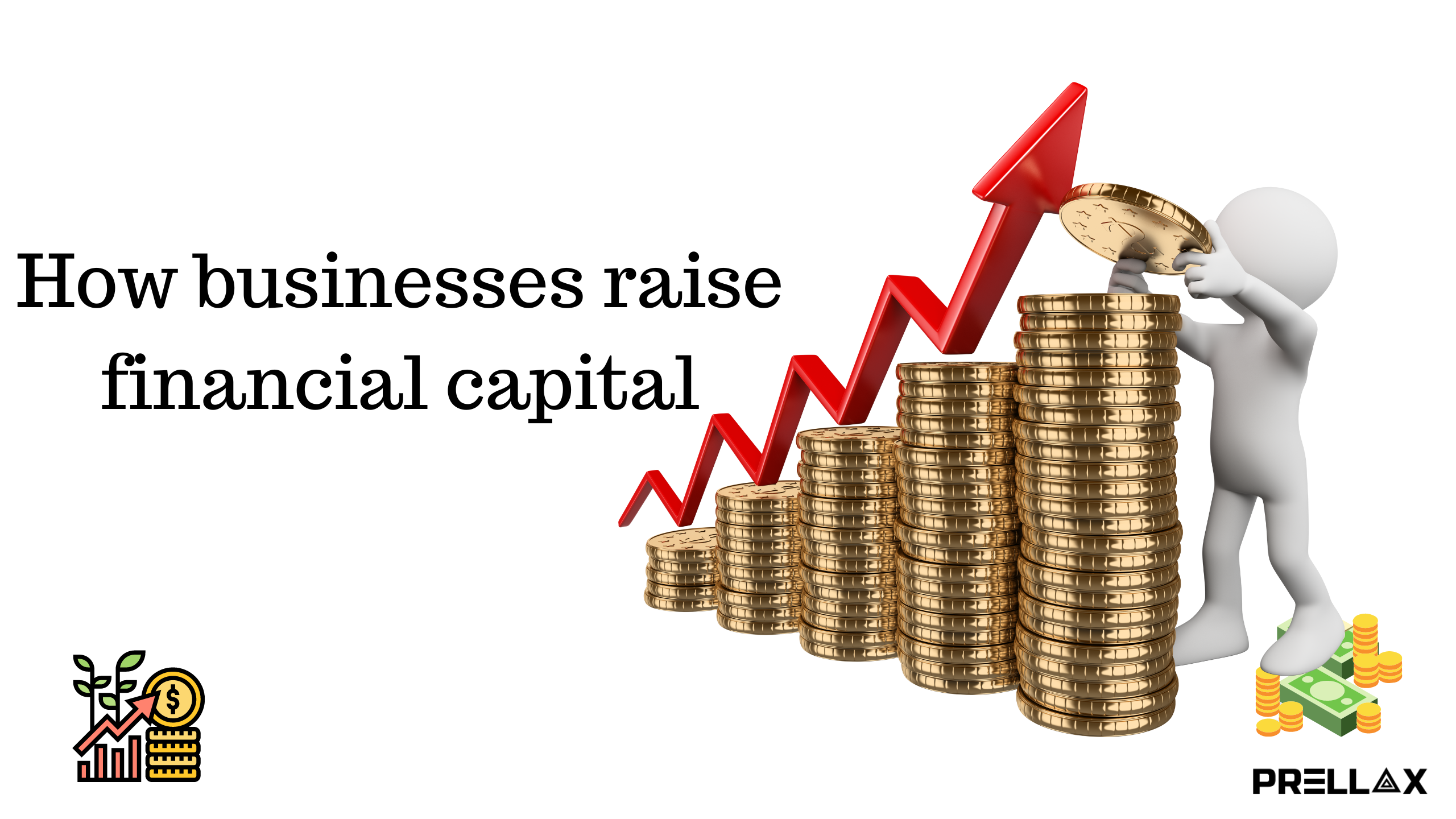 raising financial capital
